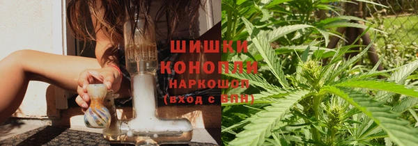 индика Магадан