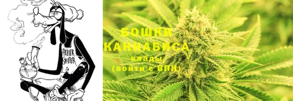 индика Магадан
